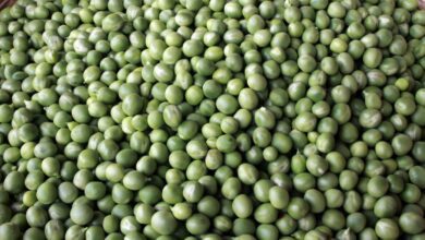 Arveja verde