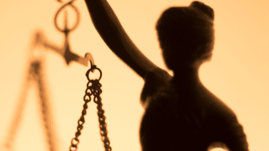 El poder público se rige por las leyes