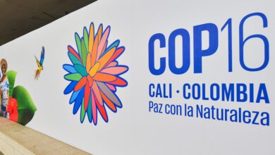 Inauguración de la COP16 en Cali, Colombia, el 20 de octubre de 2024