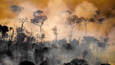 Incendios en Brasil