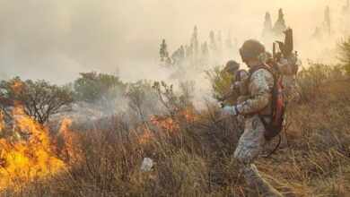 Incendios provocados