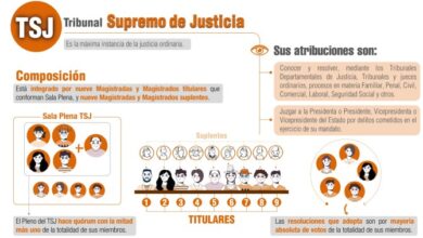 TSJ elecciones