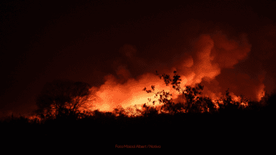 Incendios forestales provocados en Bolivia