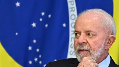 Lula Da Silva
