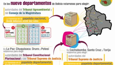 Elecciones Judiciales 2024 será parcial
