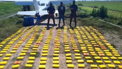La droga decomisada en el operativo