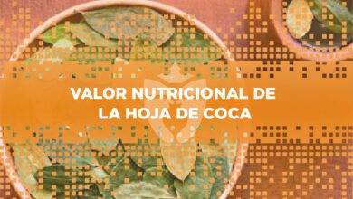 Valor nutricional de la hoja de coca