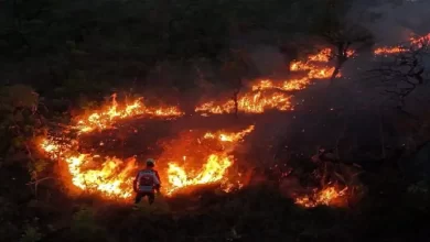 fuego 1 768x432.jpg