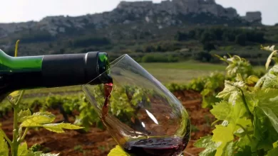 El vino tarijeño es reconocido a nivel mundial