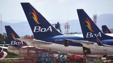 boa