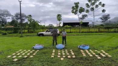Incautación de marihuana en el Beni