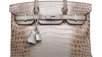 Bolso Diamond Himalaya Birkin, de la marca Hermès