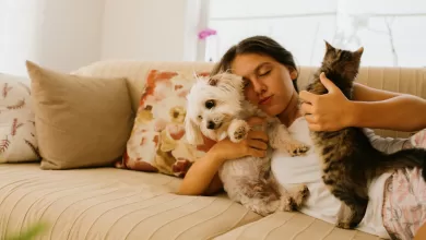 Tener mascotas como esas aumenta la satisfacción vital