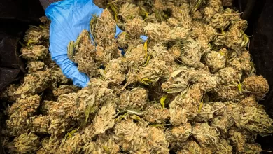 Encontraron marihuana camuflada en bolsas de pipocas