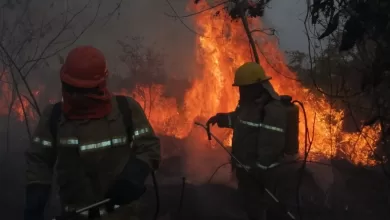 Dos incendios forestales ocurridos en Santa Cruz y Tarija, que ya fueron controlados por equipos especializados.