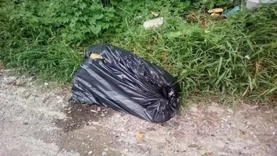Extremidades de una mujer fueron encontradas en una bolsa plástica