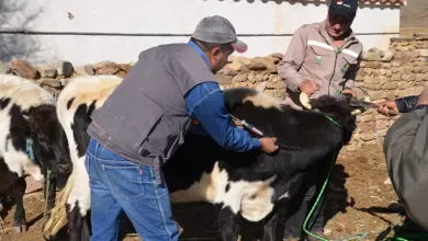 Se acordó implementar un plan de acción