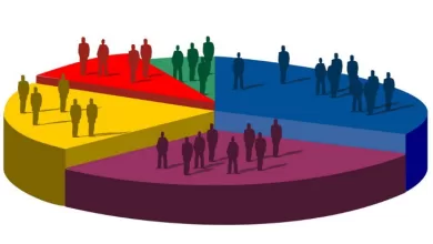 Su objetivo es que el mismo día de la votación se pueda conocer los resultados preliminares.