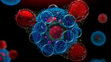 3d,Illustration,Of,Car,T,Cells,Attacking,Cancer,Cells,And
