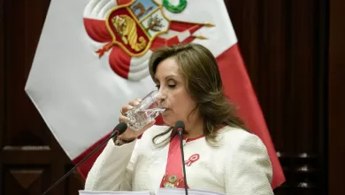 Dina Boluarte presidenta fallida