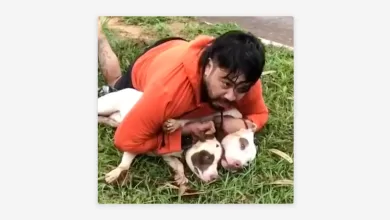 Ernesto Chaves inmoviliza a los dos perros.