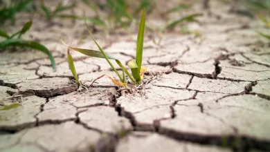 La velocidad a la que las zonas secas se vuelven más secas ahora supera la velocidad a la que las zonas húmedas se vuelven más húmedas.