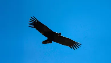 La visita al Cañón del Pilaya reafirma el compromiso de las autoridades y organizaciones locales para promover el turismo sostenible en Tarija