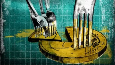 Nadie habla del impacto sobre el Sistema Único de Salud, sobre los bonos sociales o sobre el empleo público en regiones donde el Estado es el principal generador de actividad económica