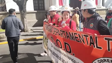 Castellanos hizo un llamado al sector salud para que priorice la atención a los pacientes