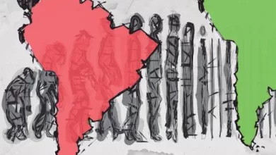 Las izquierdas y progresismos en gobierno no pierden elecciones por los trolls de las redes sociales.