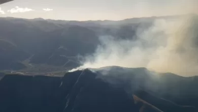 Las llamas se iniciaron en Rincón de la Victoria