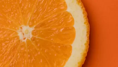 84b3e0a0 8362 11f0 b3de c13d348c14aa.jpg