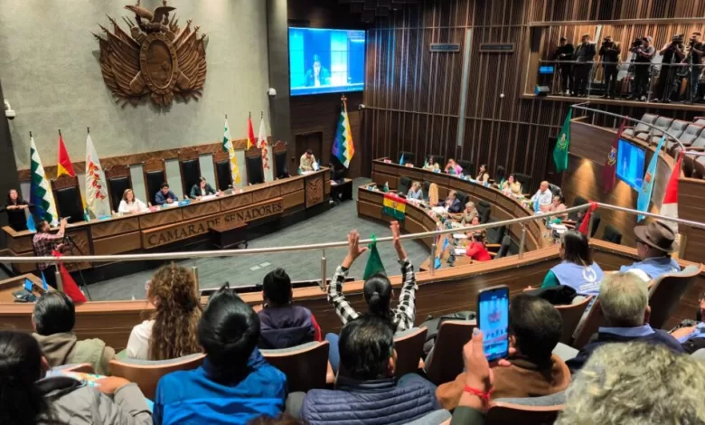 Cámara de Senadores de Bolivia
