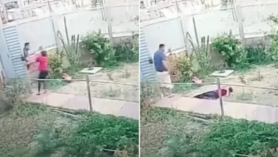 Imágenes de la agresión grabada por las cámaras de videovigilancia del domicilio de la víctima.