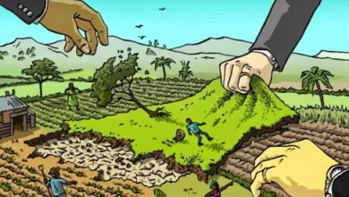 Pese a que las propiedades comunitarias y TCO son indivisibles e inalienable