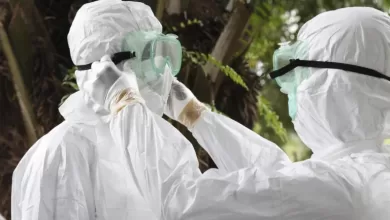trazan como el ebola llega a la superficie de la piel ayudando a un potencial contagio 768x553