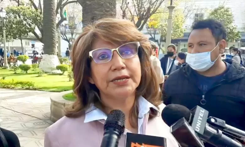 La diputada de Comunidad Ciudadana (CC) María Elena Ortega