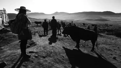 La situación exige reconstruir desde abajo, volver a tener organizaciones y organismos con legitimidad en sus propuestas y capacidad de acción efectiva.