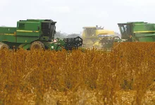 Sus impulsores defendieron que la norma pretendía corregir malas prácticas del INRA