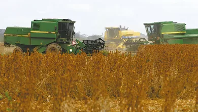 Sus impulsores defendieron que la norma pretendía corregir malas prácticas del INRA