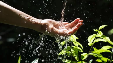 Desaparecen los ministerios de Medio Ambiente y Agua, y de Desarrollo Rural y Tierras