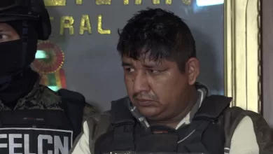 Elmer Filar Chiri Vedia fue conocido mediante tik tok