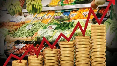 La eliminación del subsidio a los combustibles, derivará en el incremento generalizado de precios,