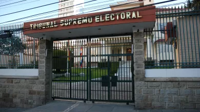TSE