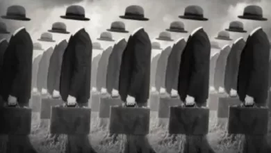 su rol es claro descomponer la potencia popular y devaluar sus capacidades en conformismo, desidia y sumisión.