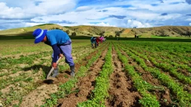 El Proyecto de Ley es denunciado por colectivos ambientalistas