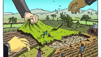 El proyecto favorece a intereses privados por encima del mandato constitucional de redistribución y control social de la tierra.