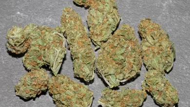Marihuana