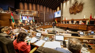 Senado Bolivia 2026