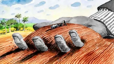 La soberanía alimentaria frente al monocultivo y la agroindustria depredadora.